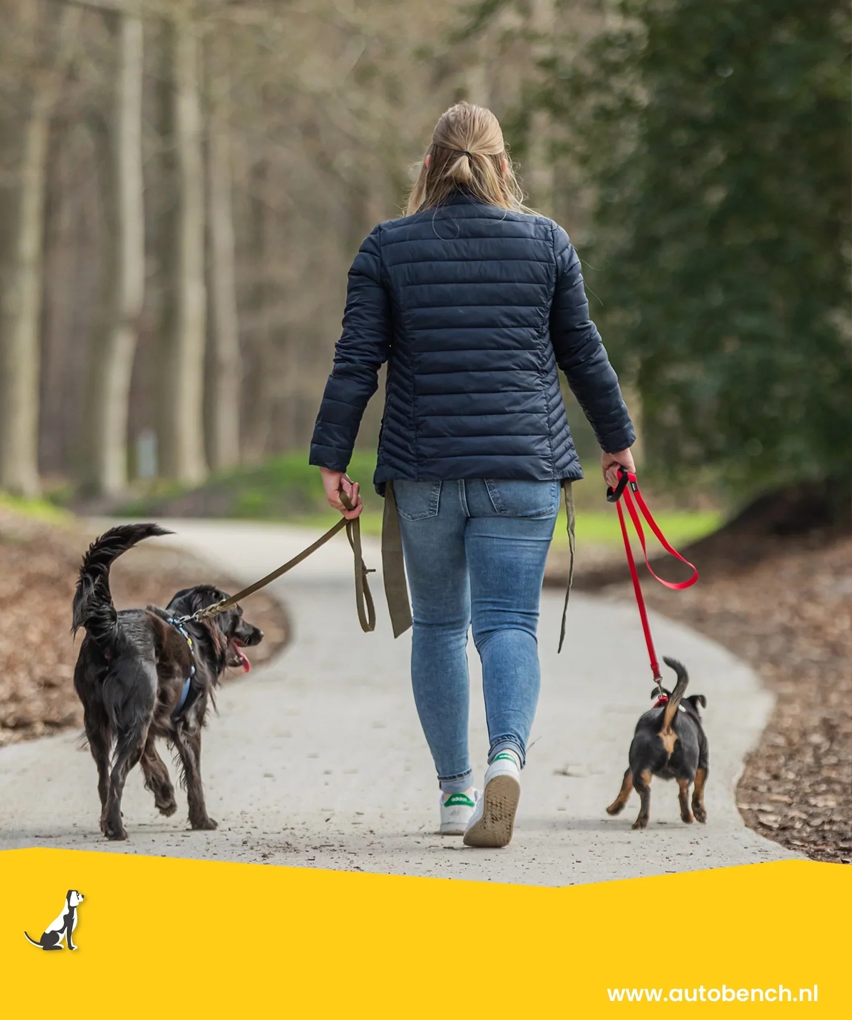 Goede voornemens samen met je hond