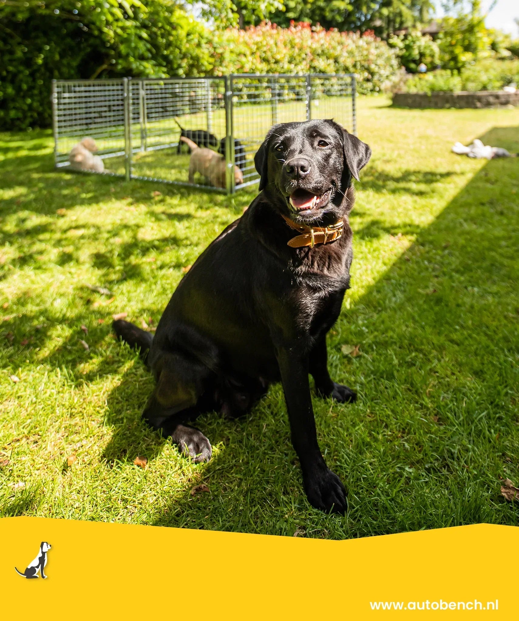 Hondenkennel bestellen