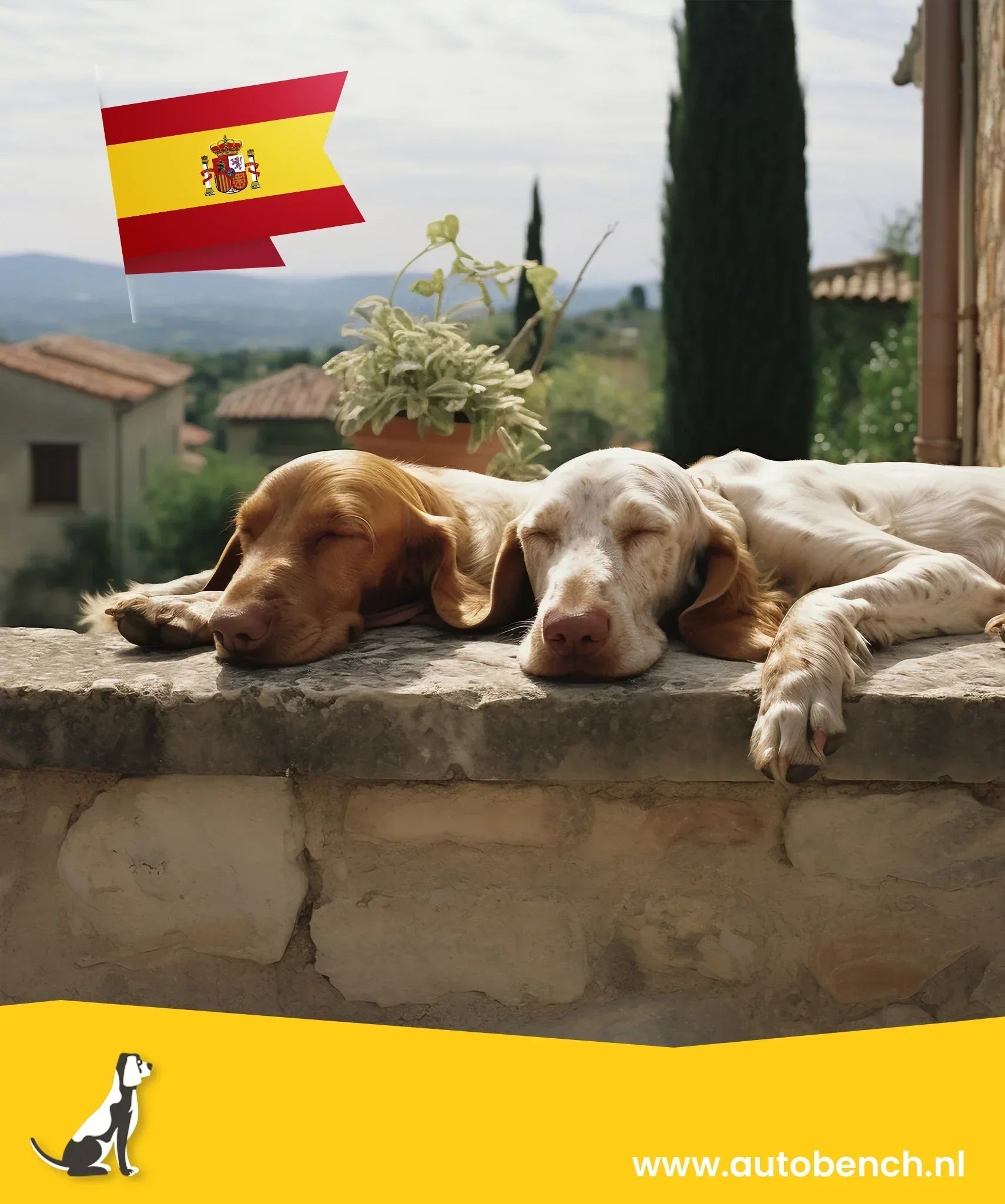 Reizen met uw hond naar Spanje