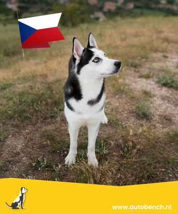 Reizen met uw hond naar Tsjechië