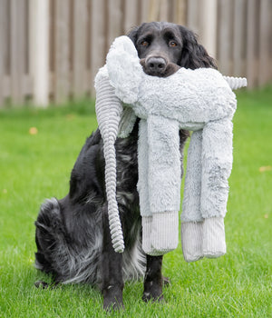 Hondenknuffel Hida Olifant grijs 32x41x55CM