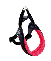 Hondentuig Fibbia mesh verstelbaar maat 3,5 (46 - 62 cm)