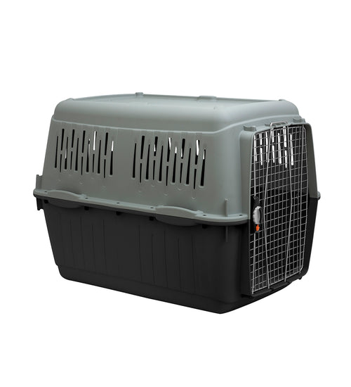 Transportbox Bracco Eco IATA 8 118 x 81 x 88 cm.