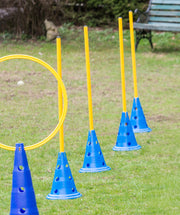Agility Pylon 30 cm hoog per stuk