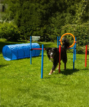 Agility set K2 Tunnel, slalom 4 palen, Horde en springring