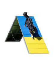 Agility A-Wand FCI Conform