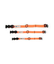 Halsband Oranje Action Collar