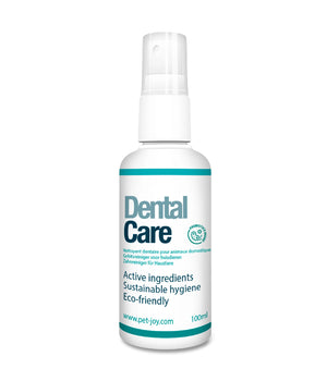 Dental Care 100ml