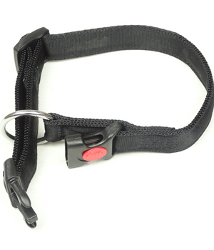 Halsband Nylon met zachte voering en snelsluiting 25 mm x 50-65 cm