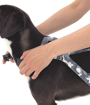 Hondentuig Ergovest Maat 1