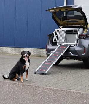 Loopplank telescopisch