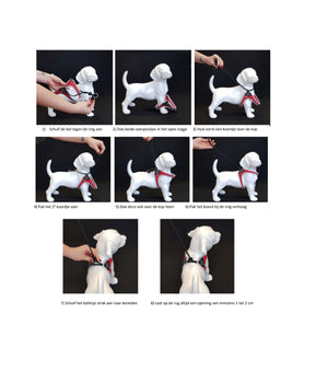 Hondentuigje Liberta maat 2.5 (37-47cm)