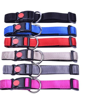 Halsband Nylon met zachte voering en snelsluiting 25 mm x 50-65 cm