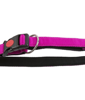 Halsband Nylon met zachte voering en snelsluiting 25 mm x 50-65 cm