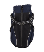 Hondenjas Dexter Blauw
