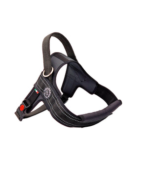 Hondentuig Primo Plus maat M (51-63cm)