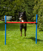 Agility Horde 86 cm hoog