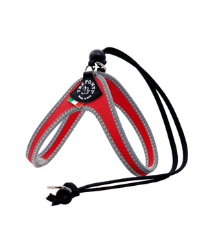 Hondentuigje Liberta maat 2 (30-40cm)