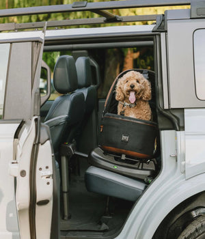 Autostoel Reismand voor Honden Maeve Medium  Rigid