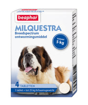 Milquestra hond (5 - 75kg) tegen wormen 4 tabletten met rundvleessmaak
