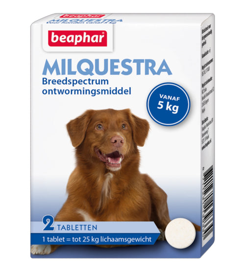 Milquestra hond (5 - 50kg) tegen wormen 2 tabletten met rundvleessmaak