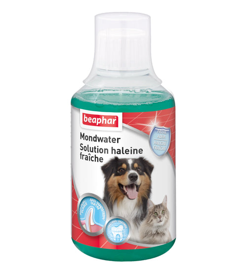 Mondwater hond/kat 250 ml.
