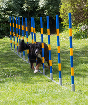 Agility professionele FCI slalom set 12 delig