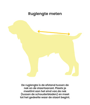 Hondenjas 51 Paris coat Khaki