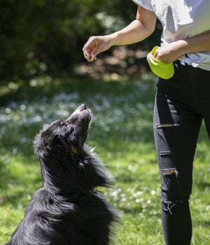 Beloningszakje met handige sluiting