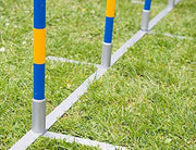 Agility professionele FCI slalom set 12 delig