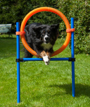 Agility Springring