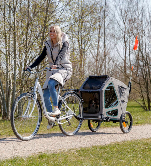 Hondenfietskar Grijs/Salie met verende wielen