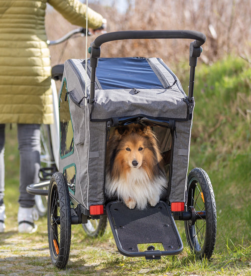 Hondenfietskar Grijs/Salie met verende wielen