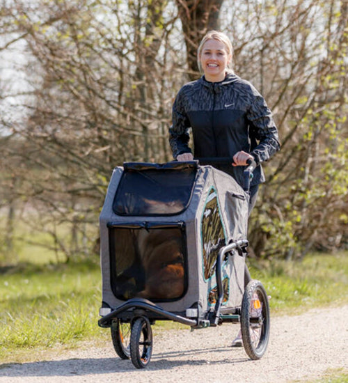 Joggingkit voor fietskar Grijs-Salie met verende wielen