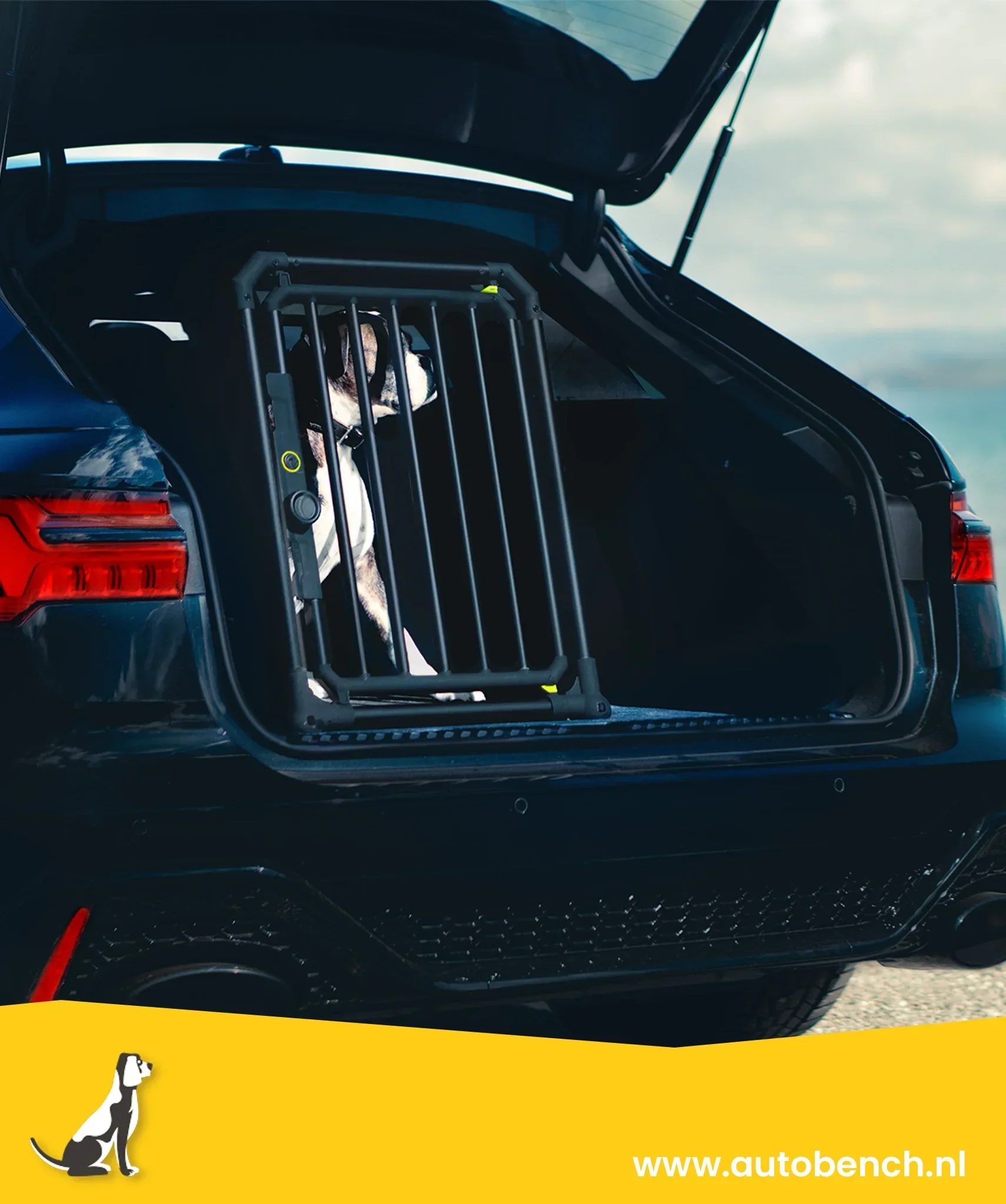 4Pets Pro Noir - dé Beste Keuze voor Veilig Hondenvervoer in de Auto