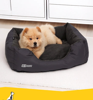 Luxe hondenmand of Comfortabel hondenkussen?
