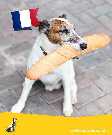 Reizen met uw hond naar Frankrijk