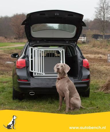 Hond veilig vervoeren in de auto: wat werkt echt?