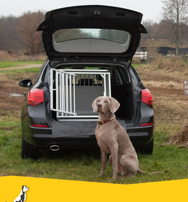 Hoe kan ik mijn hond veilig vervoeren