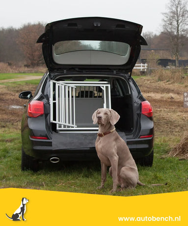 Hoe kan ik mijn hond veilig vervoeren