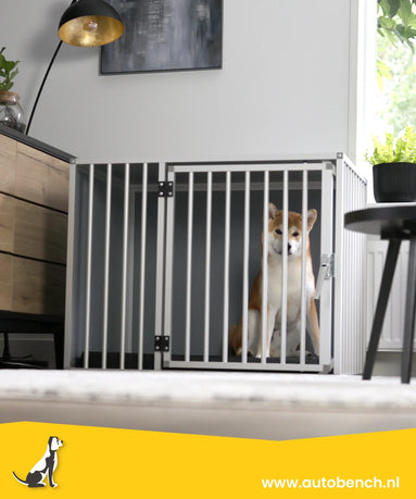 Hoelang kan een pup alleen zijn? Alles wat je moet weten.