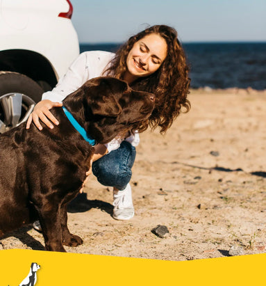 Hond mee op vakantie