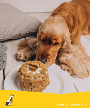 Wat honden niet mogen eten