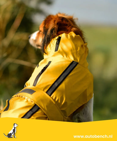 Moet mijn hond een jasje aan?