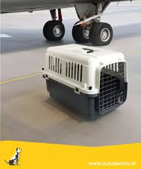 Welke maat transportbox voor je hond? IATA-maattabel