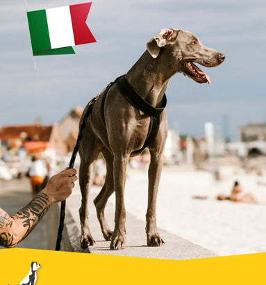 Reizen met uw hond naar Italië