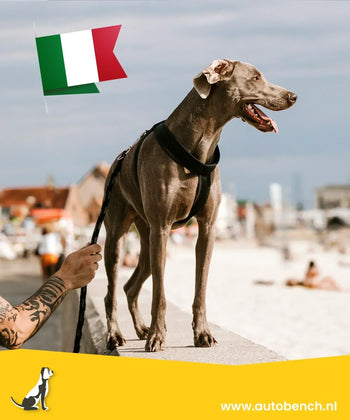 Reizen met uw hond naar Italië