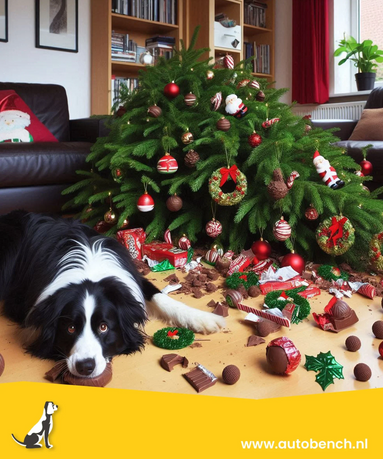 Kerst met je hond! Gezelligheid maar ook gevaren.