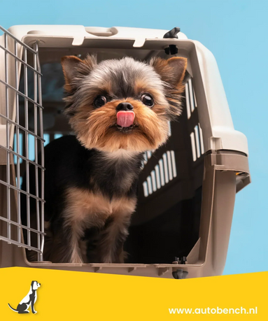 Vliegen met uw hond en de KLM