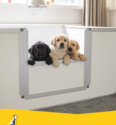 Waar moet ik aan denken als ik een puppy krijg?